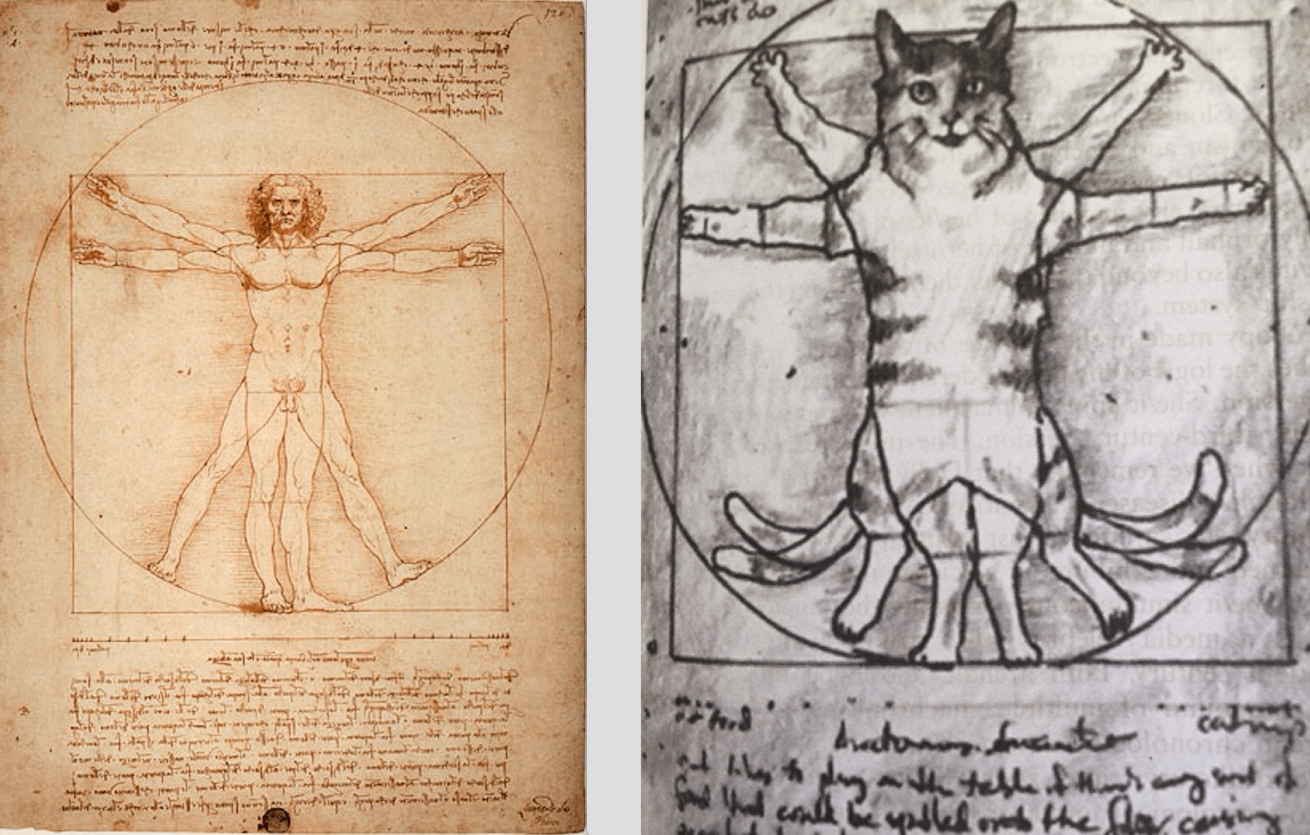 finderscreensnapz006