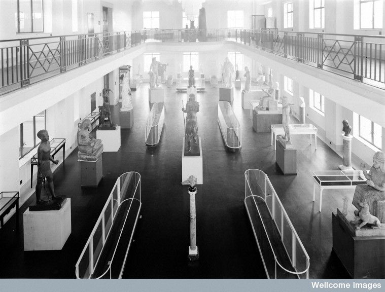 M0004494 Wellcome museum, view of statuary hall